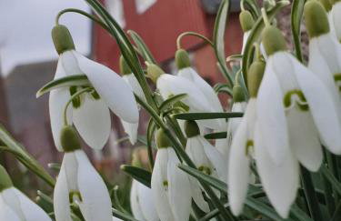 HaRe Ferienwohnungen - Foto 73