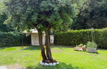 Casolare De Ranieri - appartamento in villa bifamiliare a 500m dal mare - Foto 32