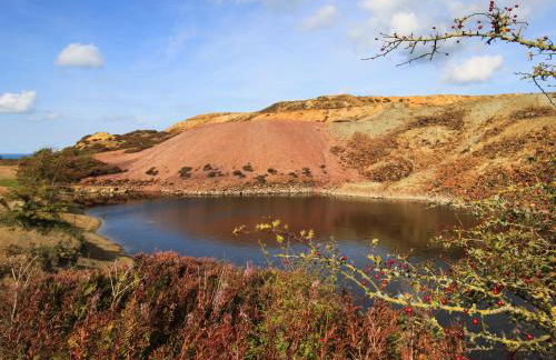 Bryn Llwyd Cottage - Photo 33