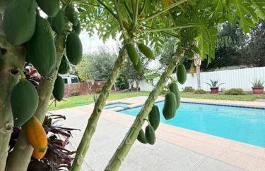 Casa Colibrí - Foto 68