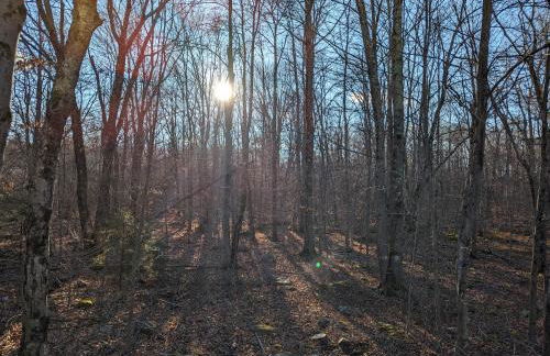 Poconos Chalet - Foto 20