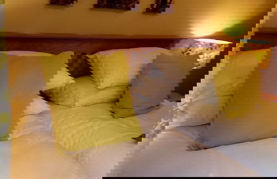 Tor Farm Lodge - Foto 2