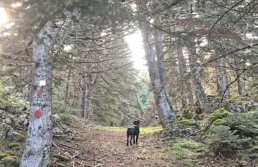 Hideaway Chalets I - Foto 33