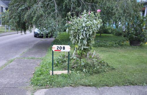 3 bedroom one bathroom townhouse - 20B Elm street Charlton Heights WV 25040 - Foto 26