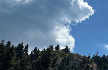 The Farmhouse - Photo 20