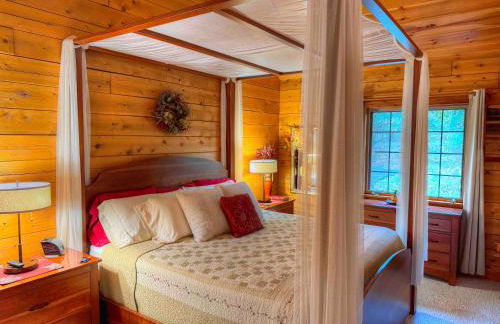 Ferngully Creek Cabins - Foto 56