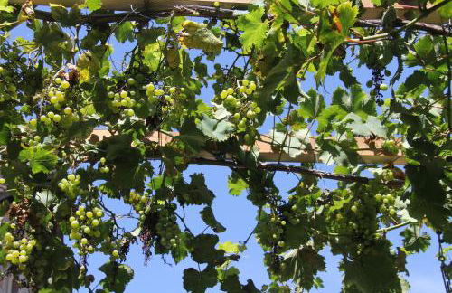 Le Gîte Tranquille Sérénité - Foto 13