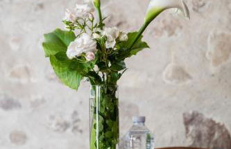 APPARTAMENTO CASA VACANZA AGRITURISMO BORGO di CALMASINO - Foto 36