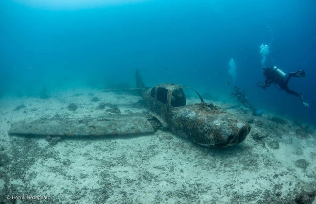 Buceo en Moalboal - Foto 1
