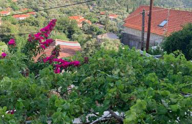 Traditional House with breathtaking view, Makis - Foto 2