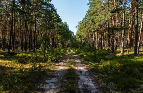 Brzozowa Chatka - Dom nad Jeziorem - Wellness & Ceragem - Foto 30