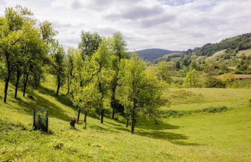 Apartman Milka - Foto 35