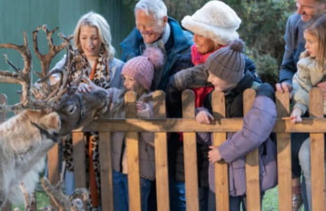 Jonstone Pines Lodge at Cayton Bay Holiday Park - Foto 30