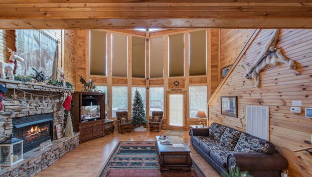 Servizio della struttura