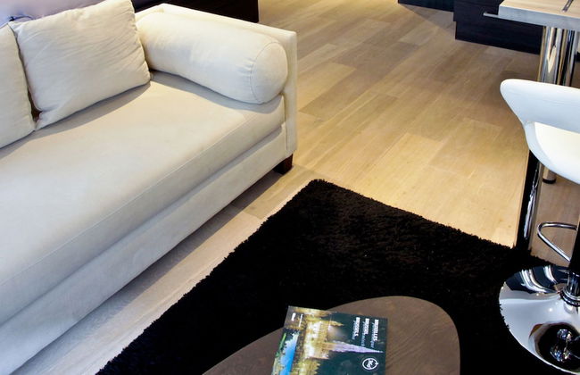 Flat Moliere - Foto 2