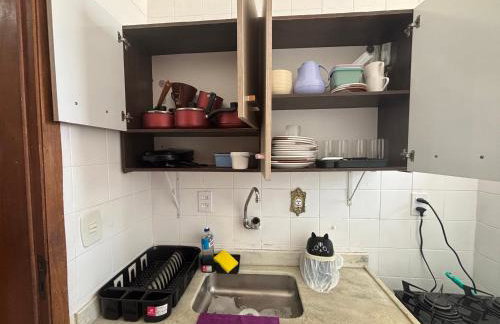 Apes Raizes Douradas - Foto 23