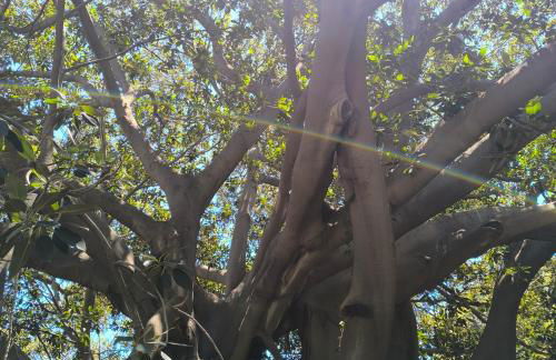 Naima House - Foto 37