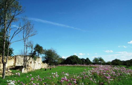 Holiday Home Domäne mit Jacuzzi by Interhome - Foto 29
