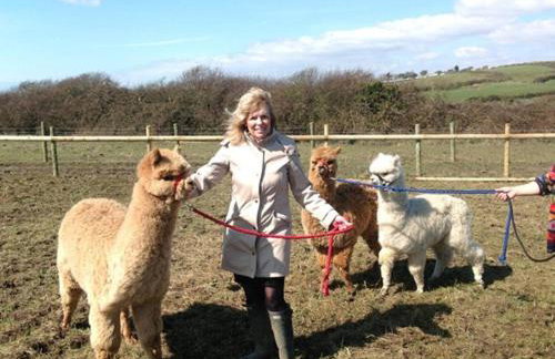 Jurassic Loft Apartment - Foto 20