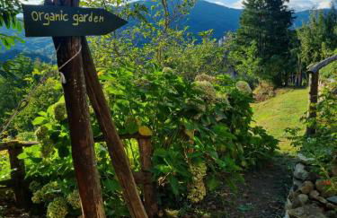 All ' ombra del lauro - Foto 29