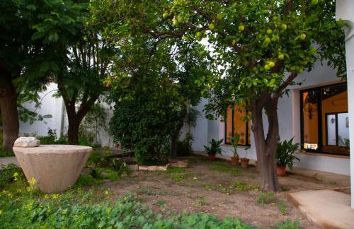 El Molino del Huertezuelo - Foto 12