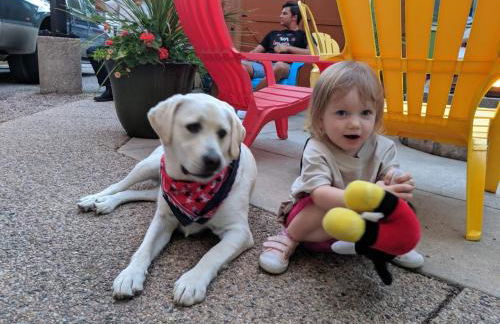 Remington Flats - Foto 9