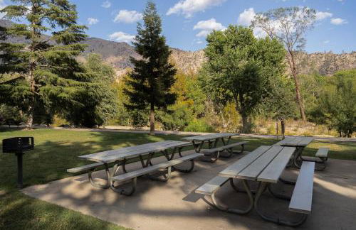 Lazy Squirrel - Cozy Family House with Full Game Room - Foto 71