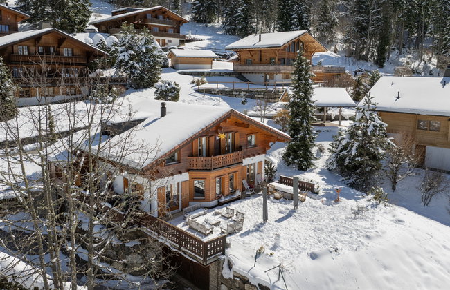 Chalet Petit Pont - Foto 63
