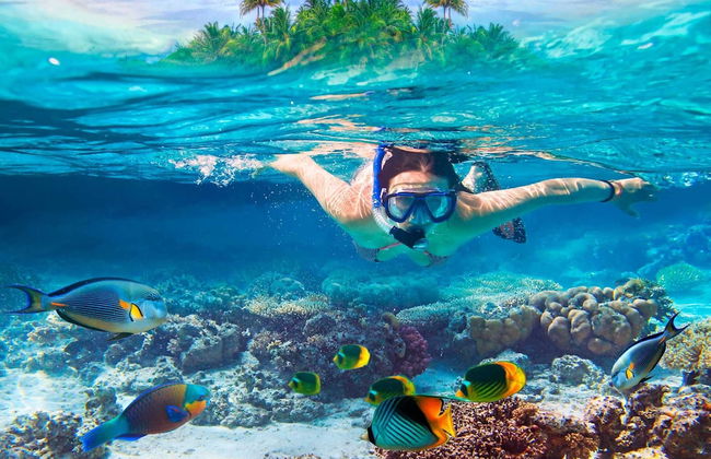 Hideaway Beach Properties by Caribe Stays - Foto 28