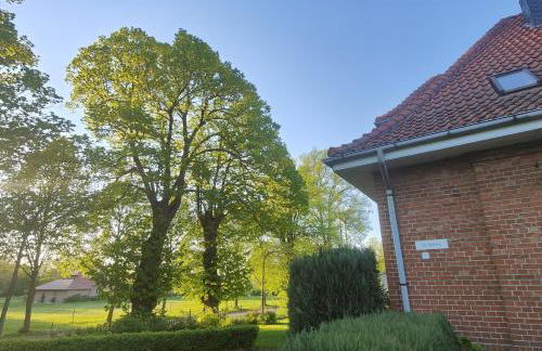 WiesenMeer - Foto 40