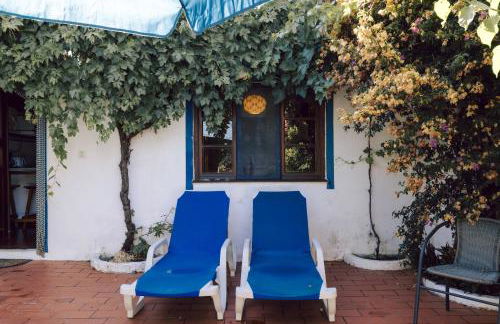 Jardim de Vénus - Foto 25