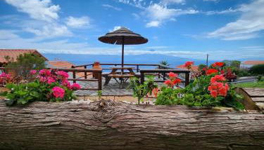 Rosegarden View - Photo 3