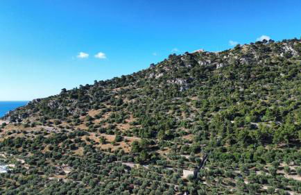 Olive&Sea Villa-OLIVE - Foto 45