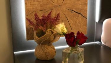 Sinsheim Unterkunft - Foto 5