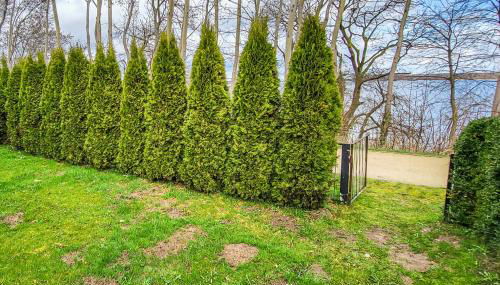 Ferienhaus Stralsund Devin - Foto 4