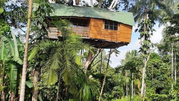 One of the cabins in the reserve