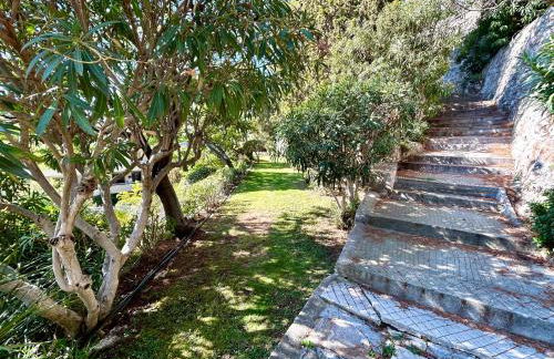 Le Panomagique - Foto 23