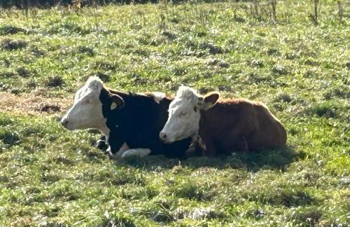 Ferienwohnung Haus Oehlberg - Foto 24