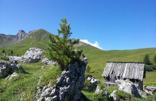 Appartamenti Dany - Foto 48