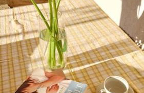 Cozy & bright apartment in Split - Photo 14