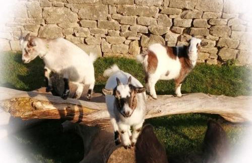 Landhaus am Schlosspark FeWo 4 - Foto 37