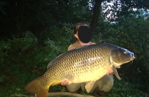 Haus 'am Selliner See-wismar' - Foto 22