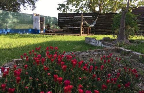 HERDADE PALMA t2 - Foto 50