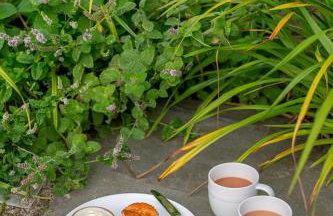 Back Lane Cottage Cornwall - Foto 55