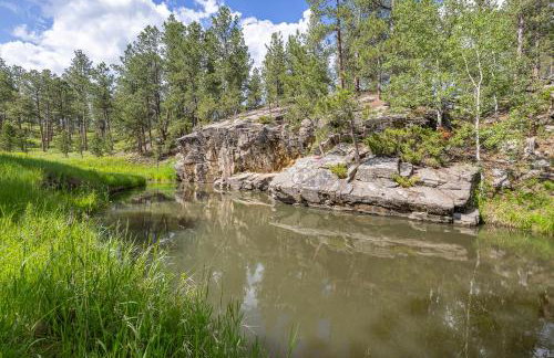 Custer Gem - Foto 50