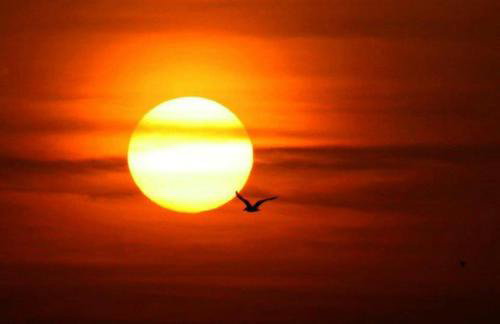 Isla Studios - Foto 7