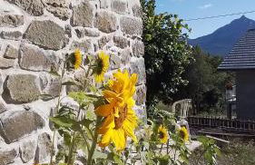 Le clos des anges - Foto 58