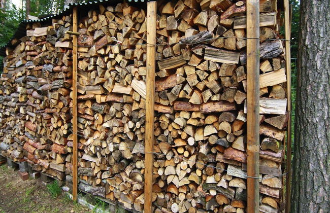 Ferienhaus in der Feldberger Seenlandschaft - Foto 12