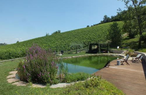 Corte D'Aibo - Photo 63