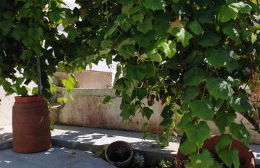 Armazéns do Beco - Cacau, Pimenta e Sal - Foto 7